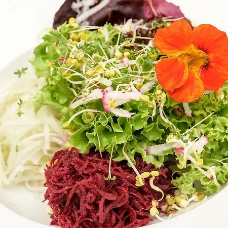 Berghues Schratt - Einfach Anders - Ihr Vegetarisches Und Veganes Biohotel Отель Оберштауфен