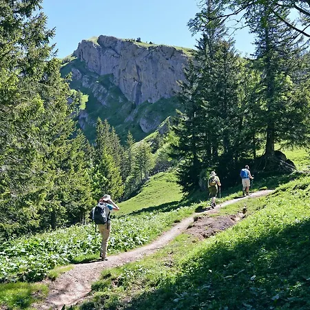 Berghues Schratt - Einfach Anders - Ihr Vegetarisches Und Veganes Biohotel 3*